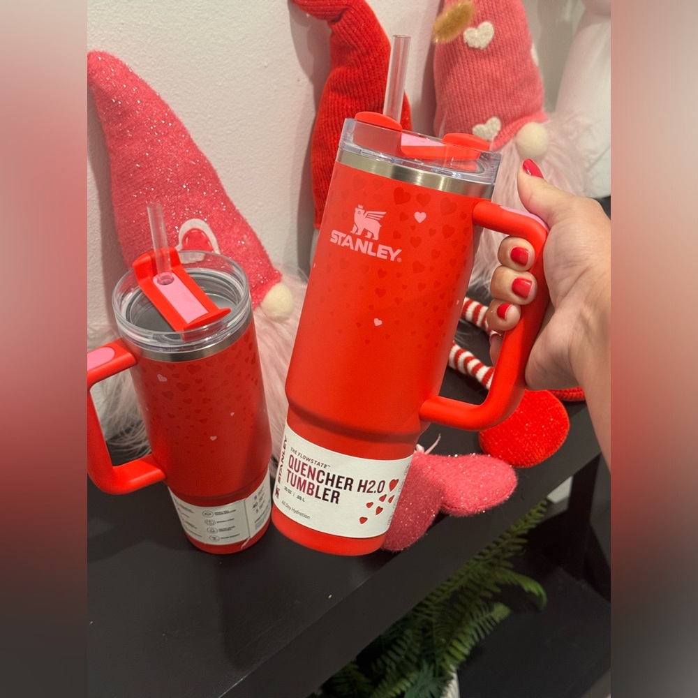 Valentine’s Day Stanley 30oz